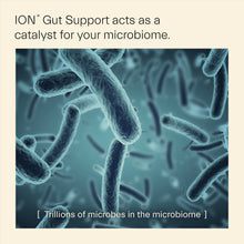 Load image into Gallery viewer, ION* Gut Support