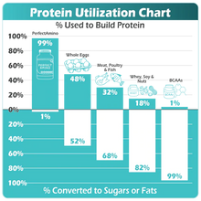 Load image into Gallery viewer, Perfect Amino Coated Tablets, BodyHealth