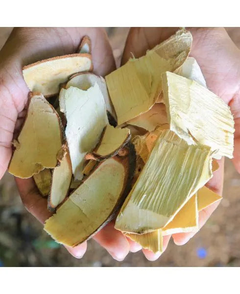 Men's Performance Edge, 60 C, Premier Research Labs