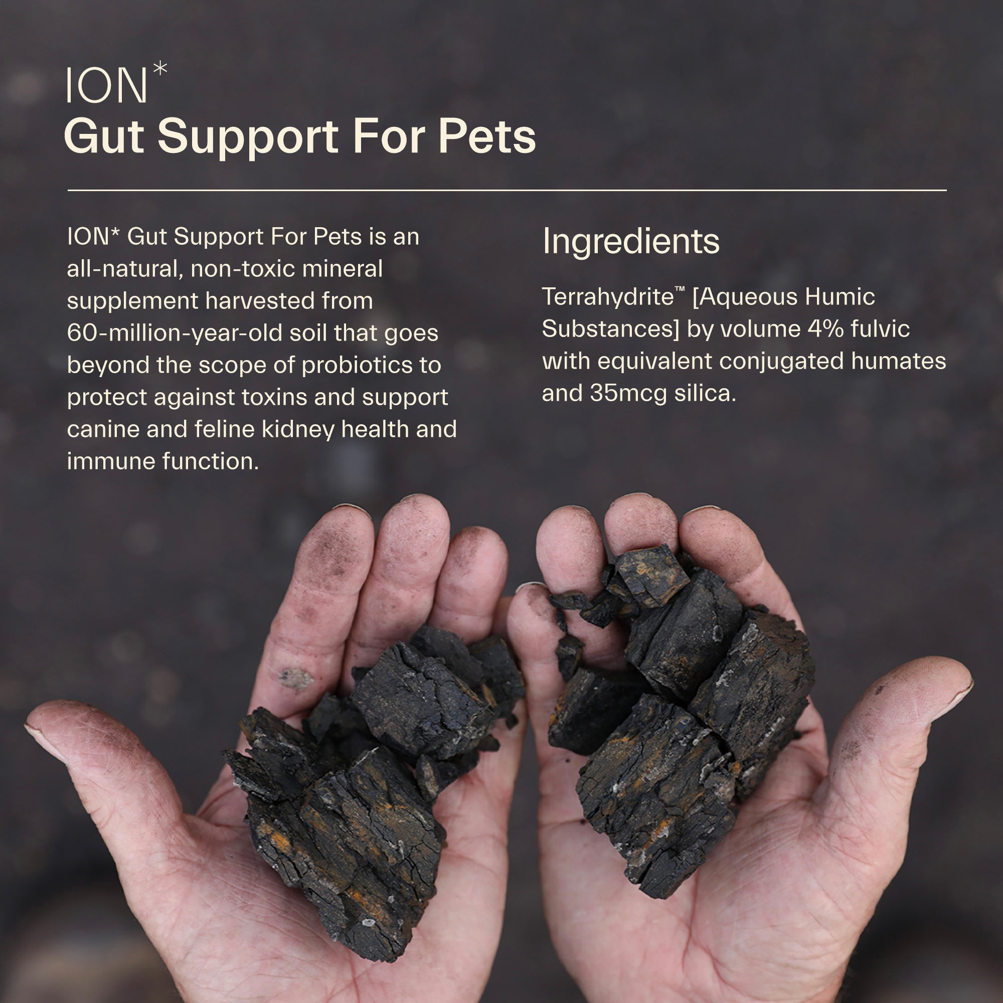 ION* Gut Support for Pets