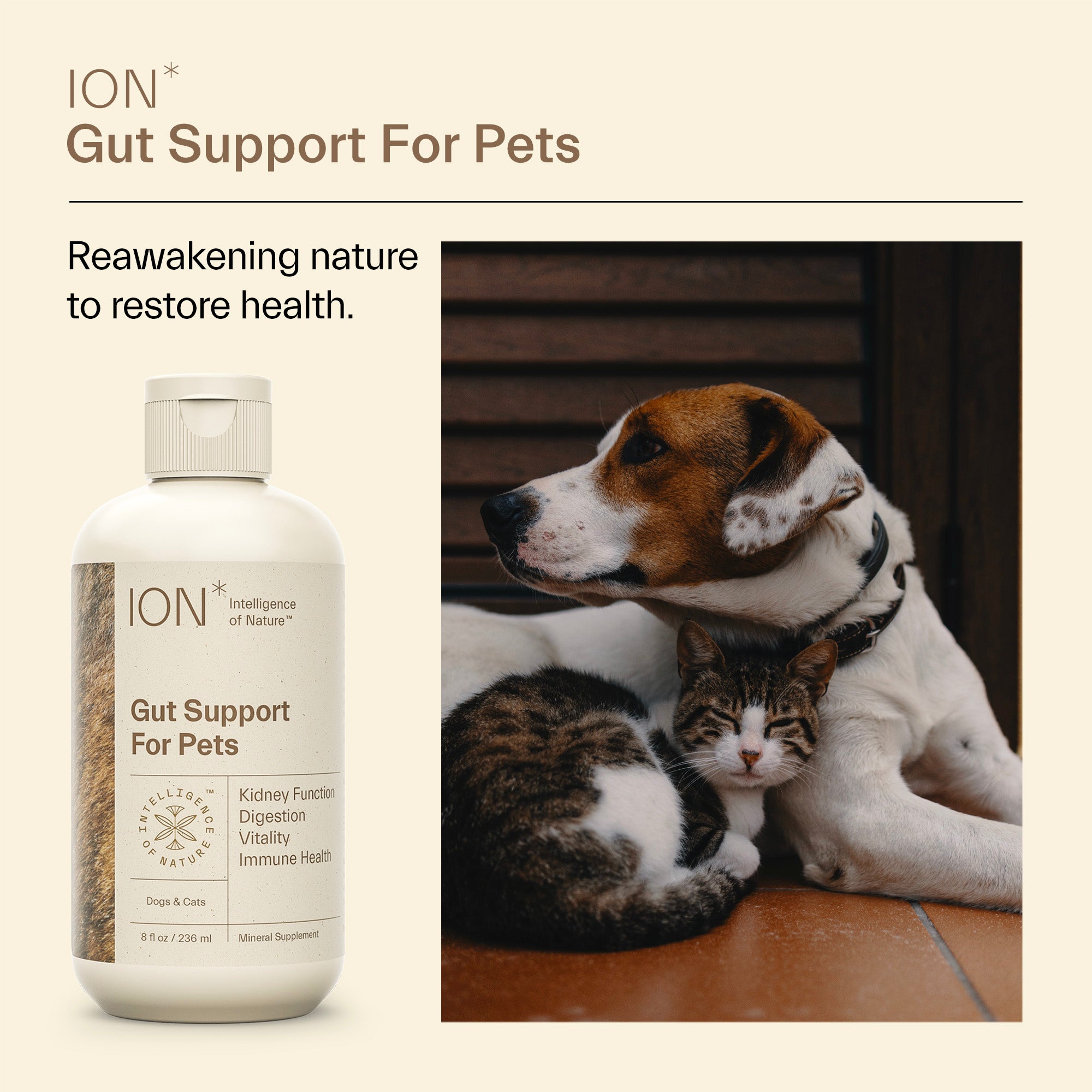 ION* Gut Support for Pets