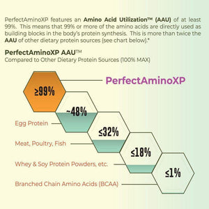 PerfectAminoXP - Drink Powder